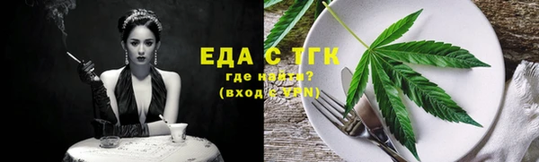 индика Абинск