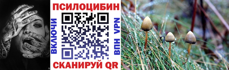 Псилоцибиновые грибы мицелий  Агидель 