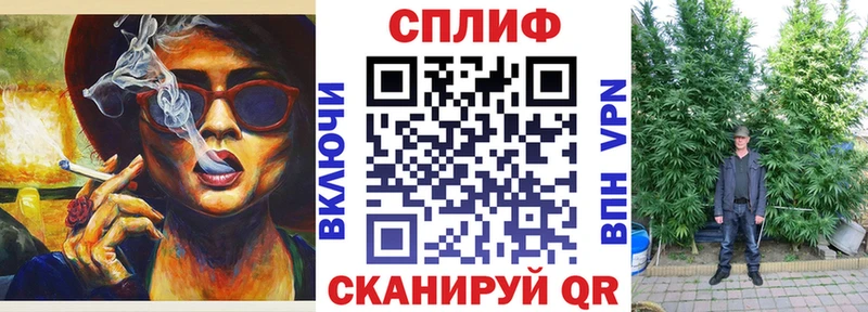 Бошки марихуана семена  купить наркотики сайты  Агидель 